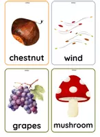 anteprima - Flashcard - Autumn Flashcards - Inglese (Infanzia e Primaria) - Pagina 3