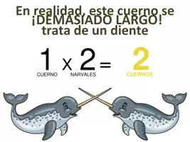 Vista previa - Refuerzo / NEE / Materiales de apoyo - Presentación tabla del 1 - página 2