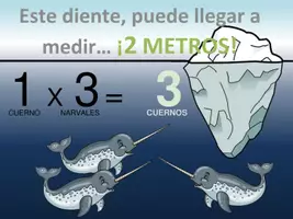 Vista previa - Refuerzo / NEE / Materiales de apoyo - Presentación tabla del 1 - página 3