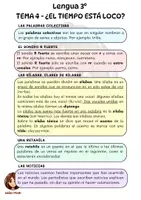 Vista previa - Unidades / Secuencias / Situaciones de Aprendizaje - Pack resumen Lengua Castellana y Literatura 3º E. Primaria - página 3