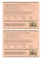 Vista previa - Refuerzo / NEE / Materiales de apoyo - AGUDAS LLANAS ESDRÚJULAS Y SOBRESDRUJULAS - página 2