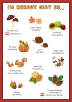 Vorschau - Bildkarten - Im Herbst gibt es I Wortschatz Herbst - Deckblatt