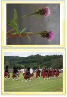 Vorschau - Bildkarten - Photos of Scotland - Eine Bildersammlung für den authentischen Englischunterricht - Seite 3