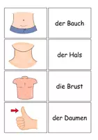 Vorschau - Spiele - Die Körperteile 'Wo ist das Paar?' - Seite 3