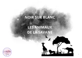 Aperçu - Préparation de séance / Séance complète - NOIR SUR BLANC - LES ANIMAUX DE LA SAVANE - Page de couverture