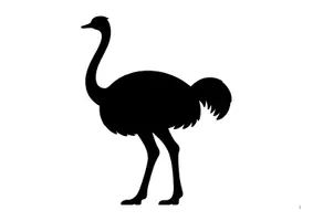 Aperçu - Préparation de séance / Séance complète - NOIR SUR BLANC - LES ANIMAUX DE LA SAVANE - Page 1