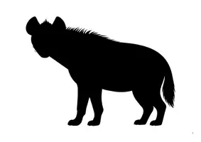 Aperçu - Préparation de séance / Séance complète - NOIR SUR BLANC - LES ANIMAUX DE LA SAVANE - Page 2