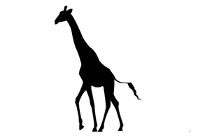 Aperçu - Préparation de séance / Séance complète - NOIR SUR BLANC - LES ANIMAUX DE LA SAVANE - Page 3