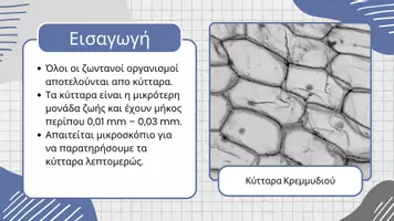 Προεπισκόπηση - Πειράματα - Παρατήρηση κυττάρων κρεμμυδιου στο μικροσκόπιο - Σελίδα 2