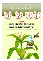 Vorschau - Test - Abwehrstrategien bei Pflanzen: VOCs und Parasitoidwespen (Klausur Q1/Q2) - Deckblatt
