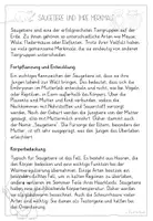 Vorschau - Arbeitsblätter - Säugetiere und ihre Merkmale - Seite 3