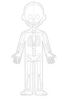Vista previa - Hojas de trabajo - FLIP BOOK - Cuerpo Humano - página 3