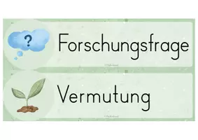 Vorschau - Arbeitsblätter - Forschungsschritte - Versuch, Experiment - Seite 2