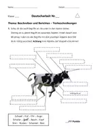 Vorschau - Klassenarbeiten - Tierbeschreibung. Klassenarbeit (Nachschreiber). Eine eigene Tierbeschreibung verfassen - Seite 1