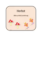 Vorschau - Arbeitsblätter - Klettmappe (TEACCH-Mappe) Bild-zu-Bild-Zuordnung zum Herbst - Seite 2
