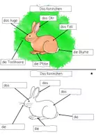 Vorschau - Stationenlernen - Lerntheke: "Das Kaninchen" (Haustiere) - Seite 2