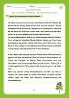 Vorschau - Stundenentwürfe - Ökosystem Lesetext + Aufgaben - Fertige Unterrichtsstunden für Klasse 4-6 - Seite 1