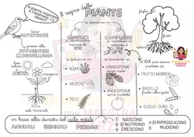 anteprima - Mappe concettuali - IL REGNO DELLE PIANTE - Pagina di copertina
