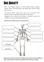 Vorschau - Arbeitsblätter - Das Skelett (Arbeitsblatt) – Sachunterricht Grundschule - Seite 1