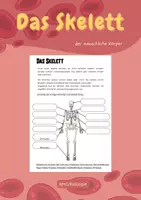 Vorschau - Arbeitsblätter - Das Skelett (Arbeitsblatt) – Sachunterricht Grundschule - Deckblatt