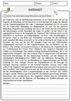 Vorschau - Mal- und Bastelvorlagen - Berufe: Aufgaben-Komplettpaket mit Leseverständnis und Multiple Choice - Seite 2