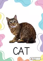 Vista previa - Tarjetas / Manipulativos - Super pack flashcards: Pets, Farm and Wild. - Portada