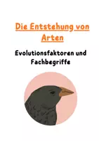 Vorschau - Arbeitsblätter - Arbeitsblätter Die Entstehung von Arten inklusive Lösungen - Deckblatt