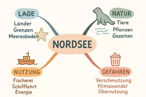 Vorschau - Arbeitsblätter - AB mit Fragen zum Thema "Nordsee" + Lösungsblatt + Mindmap + Infografik - Seite 2