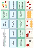 Vorschau - Spiele - Reinstoffe & Stoffgemische - Legekarten, Domino und Tabelle - Seite 1