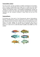 Vorschau - Arbeitsblätter - Die Entstehung von Arten Text, Arbeitsblätter und Lösungen - Seite 2