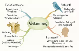 Vorschau - Arbeitsblätter - Arbeitsblatt "Abstammung, Züchtung, Art- und Rassebegriff" + interaktive Lösung & MP3 + Mindmap + Infografik - Seite 3