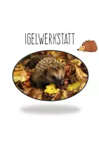 Vorschau - Unterrichtsreihen - Igel Werkstatt / Stationen Texte und Lapbook für die 2. Klasse - Seite 1