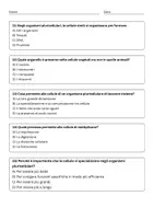 anteprima - Quiz - Quiz sulla cellula eucariote animale - Pagina 3