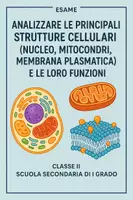 anteprima - Compiti in classe/Test - Esame: Analizzare le principali strutture cellulari (nucleo, mitocondri, membrana plasmatica) e le loro funzioni - Pagina di copertina
