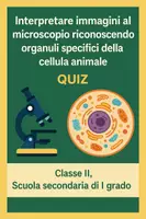 anteprima - Quiz - Quiz: Interpretare immagini al microscopio riconoscendo organuli specifici della cellula animale - Pagina di copertina