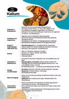 Vorschau - Arbeitsblätter - MATERIALPAKET - Mineralstoffe im intermediären Stoffwechsel - Seite 2