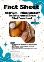 Vorschau - Merkblätter - Fact Sheet - Natrium - Mineralstoff im intermediären Stoffwechsel - Deckblatt