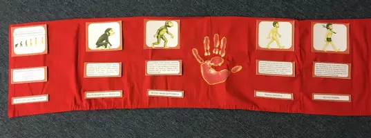 Vorschau - Stundenentwürfe - Evolution des Menschen - Seite 1