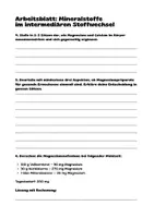 Vorschau - Arbeitsblätter - Arbeitsblätter zu den Fact Sheets Mineralstoffen - Seite 3
