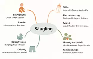 Vorschau - Arbeitsblätter - AB mit Fragen zum Thema "Säugling" + Lösungsblatt + Mindmap + Infografik - Seite 1