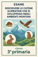 anteprima - Compiti in classe/Test - Esame: catene alimentari degli animali montani - Pagina di copertina