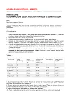 anteprima - Esperimenti - Attività pratica: determinazione di una mole di semi - Pagina 2