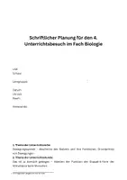 Vorschau - Stundenentwürfe - Materialpaket Bewegungssystem Klasse 6 komplett - alle Materialien und Verlaufspläne - Seite 2