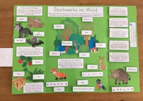 Vorschau - Anderer Materialtyp - KLETTBOOK Wald - Seite 1