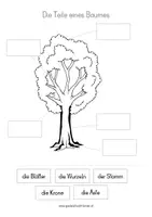 Vorschau - Anderer Materialtyp - Die Teile eines Baumes - Seite 2