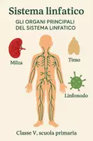 anteprima - Piani di lezione - Gli organi principali del sistema linfatico - Pagina di copertina