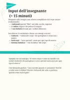 anteprima - Piani di lezione - Il sistema linfatico e la difesa del corpo - Pagina 2