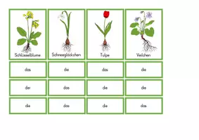 Vorschau - Unterrichtsreihen - Frühling - Artikelschulung Frühlingsblumen - Seite 2