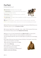 Vorschau - Stundenentwürfe - Sprachwandel - Deckblatt