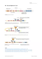 Vorschau - Test - Genetik - Klausurenpaket (erhöhtes Anforderungsniveau) - Seite 3